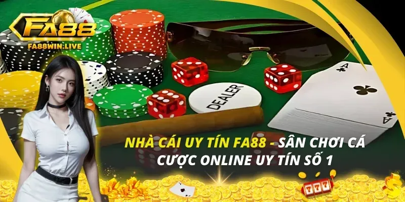Bước 3: Bắt đầu trải nghiệm